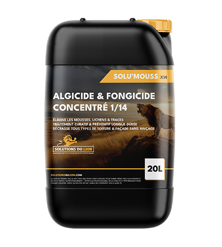 Product Detail Image